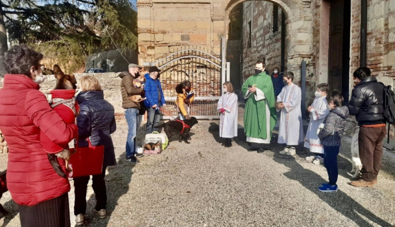 La benedizione degli animali nella festa di Sant'Antonio